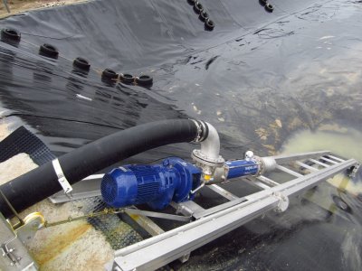 Erdbecken für Rübenmus